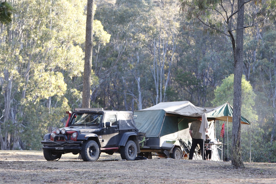 The Art of Backpacking: Embracing Minimalism and Freedom